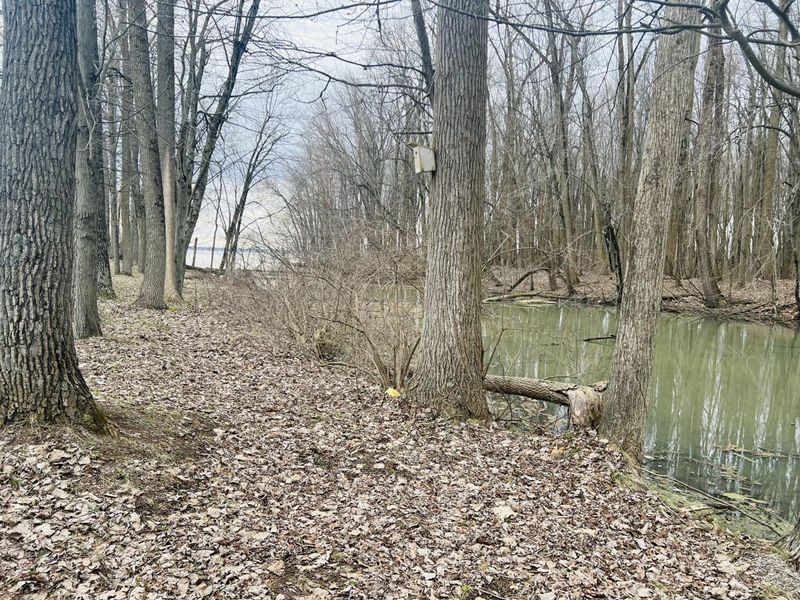 10950 Cherokee Drive, Unit 59, Lakeview, OH 43331 Photo 20