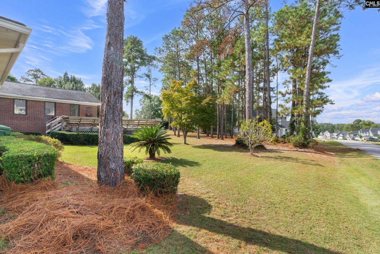 6801 Patricia Drive Photo 37