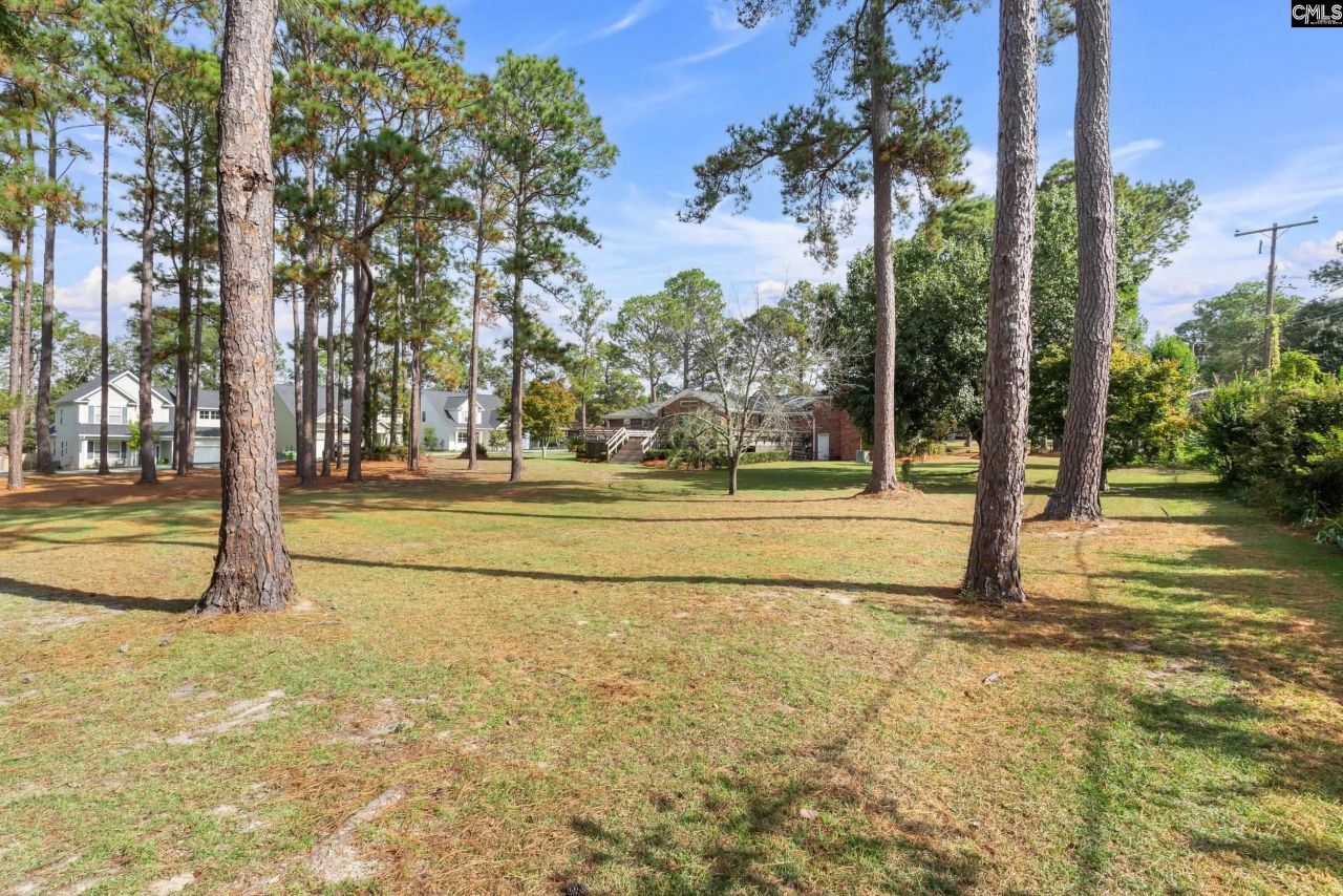 6801 Patricia Drive Photo 38