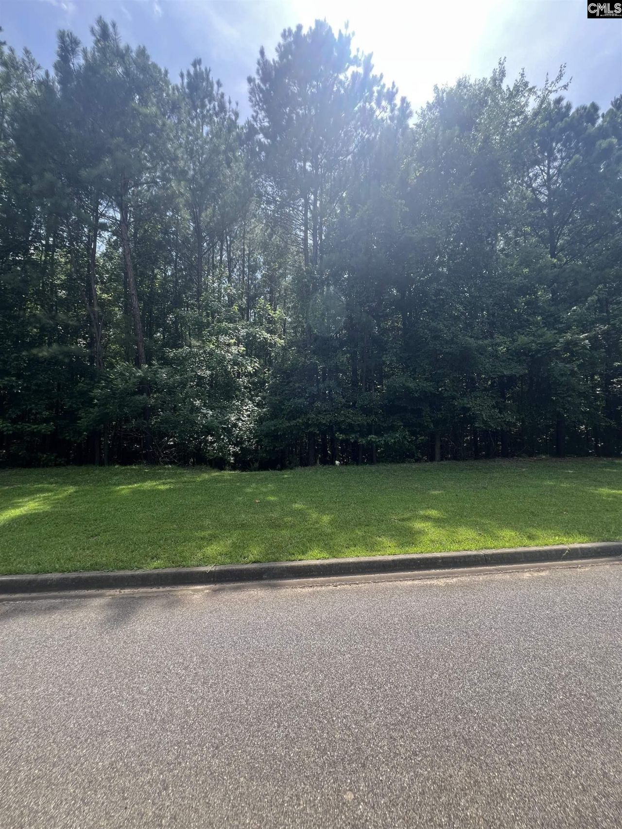 290 Retreat Way Photo 12