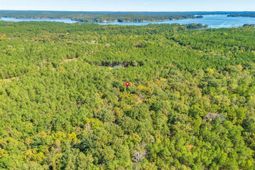 290 Retreat Way photo 4