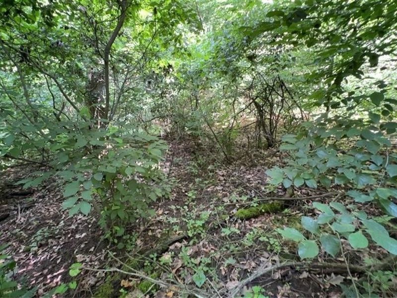 Point Lookout Road, Stockport, OH 43787 Photo 11