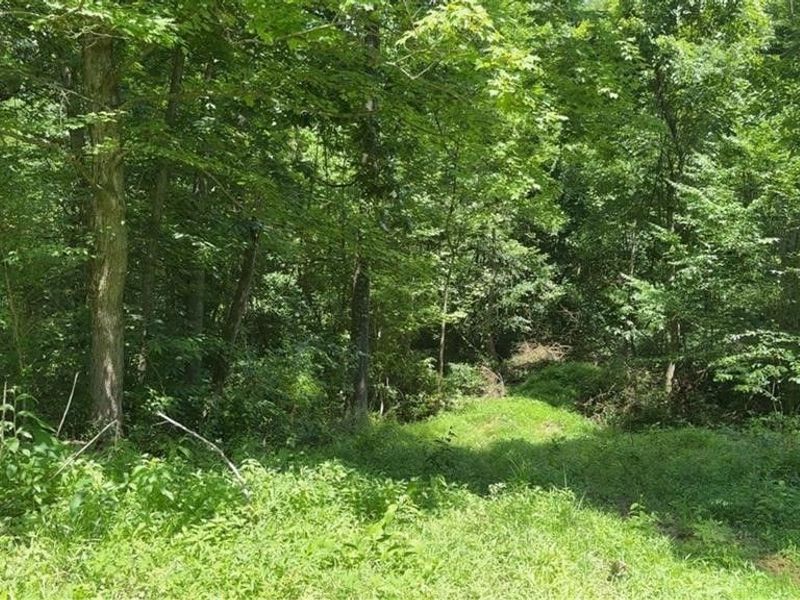 Point Lookout Road, Stockport, OH 43787 Photo 17