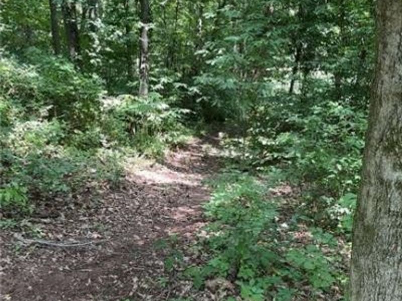 Point Lookout Road, Stockport, OH 43787 Photo 18