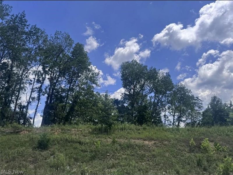 Point Lookout Road, Stockport, OH 43787 Photo 19