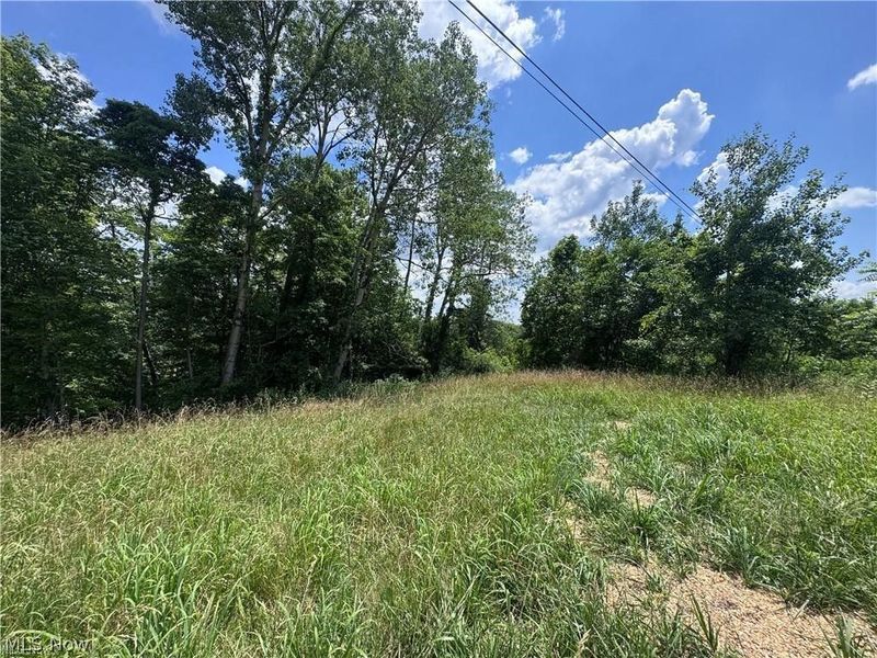 Point Lookout Road, Stockport, OH 43787 Photo 24