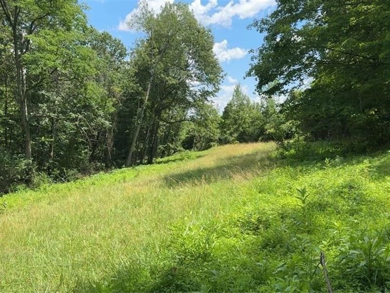 Point Lookout Road, Stockport, OH 43787 Photo 26