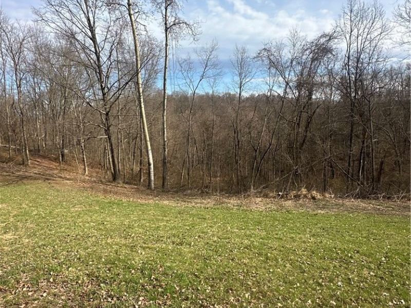 Point Lookout Road, Stockport, OH 43787 Photo 27