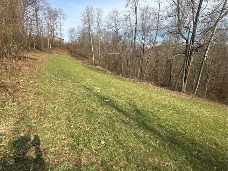 Point Lookout Road, Stockport, OH 43787 Photo 28