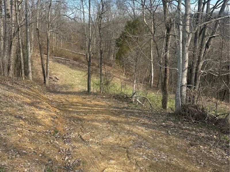 Point Lookout Road, Stockport, OH 43787 Photo 29