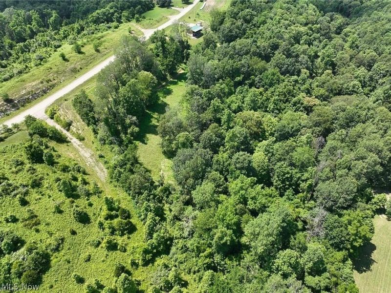 Point Lookout Road, Stockport, OH 43787 Photo 7