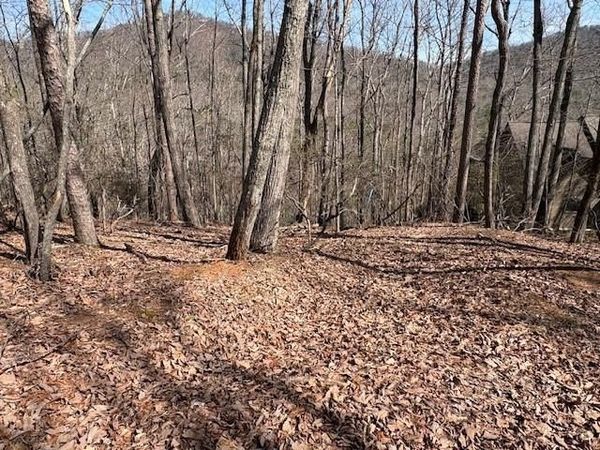 1150 Swallow Point , Big Canoe, GA 30143