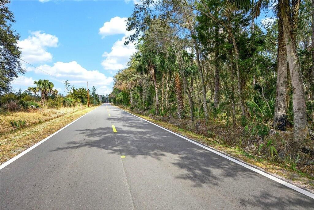 0 Old Haw Creek Road, Bunnell, FL 32110 Photo