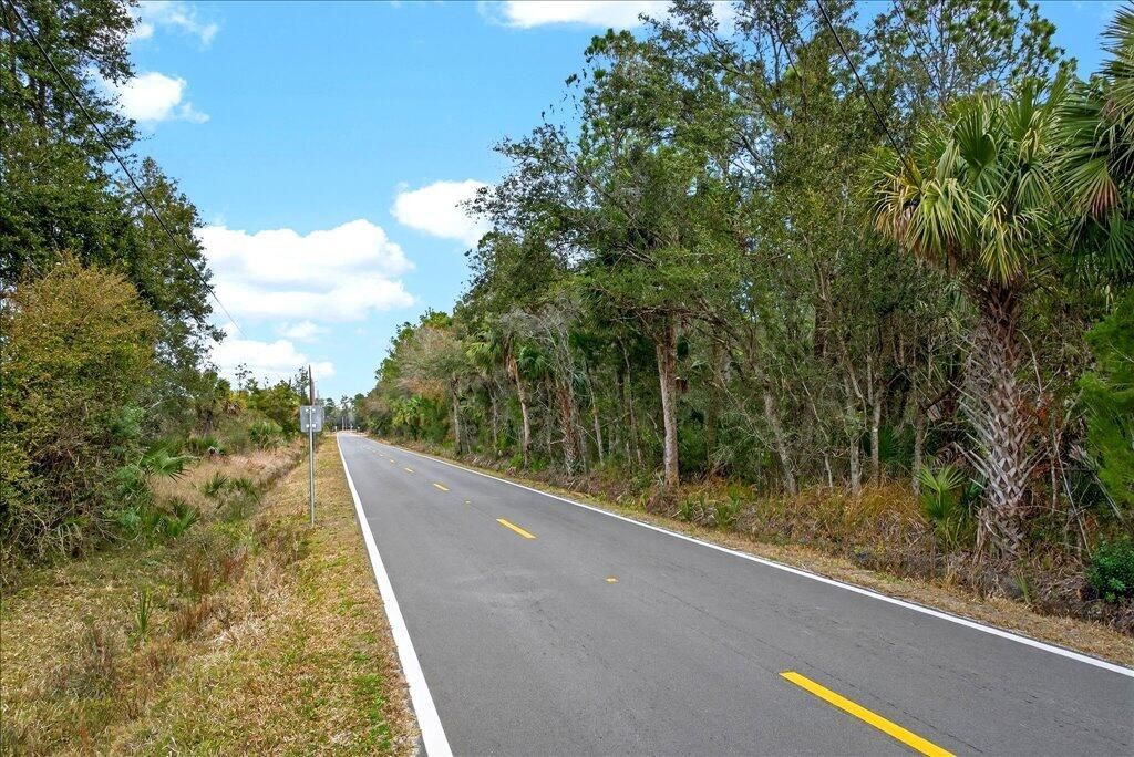 0 Old Haw Creek Road, Bunnell, FL 32110 Photo