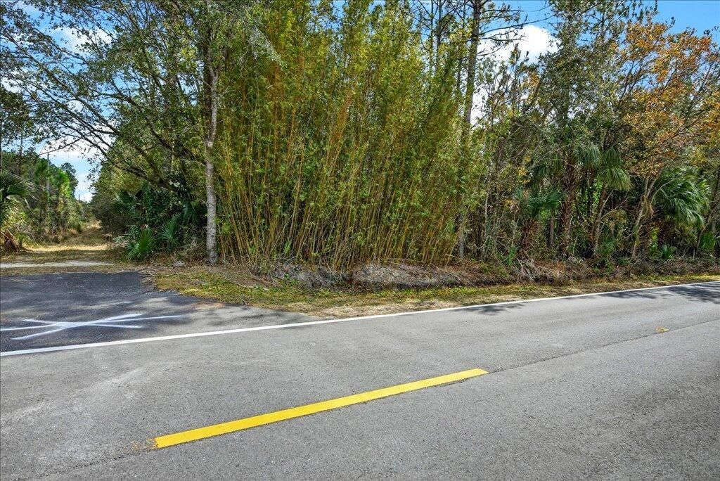 0 Old Haw Creek Road, Bunnell, FL 32110 Photo