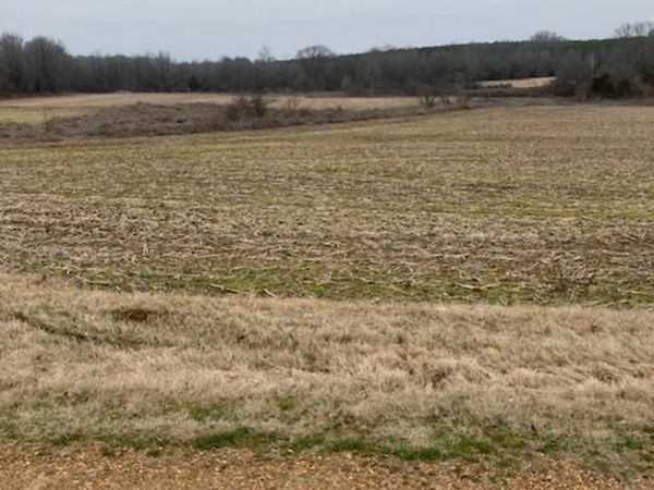 9002 Lot 2 Hudson Road, Hernando, MS 38632