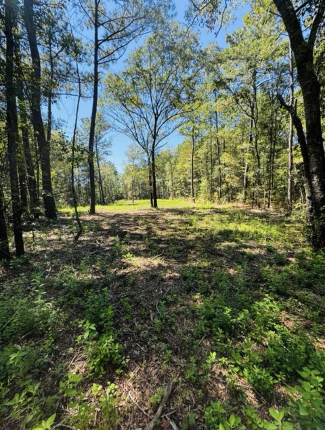 0 Mcdanieltown Road Photo 10