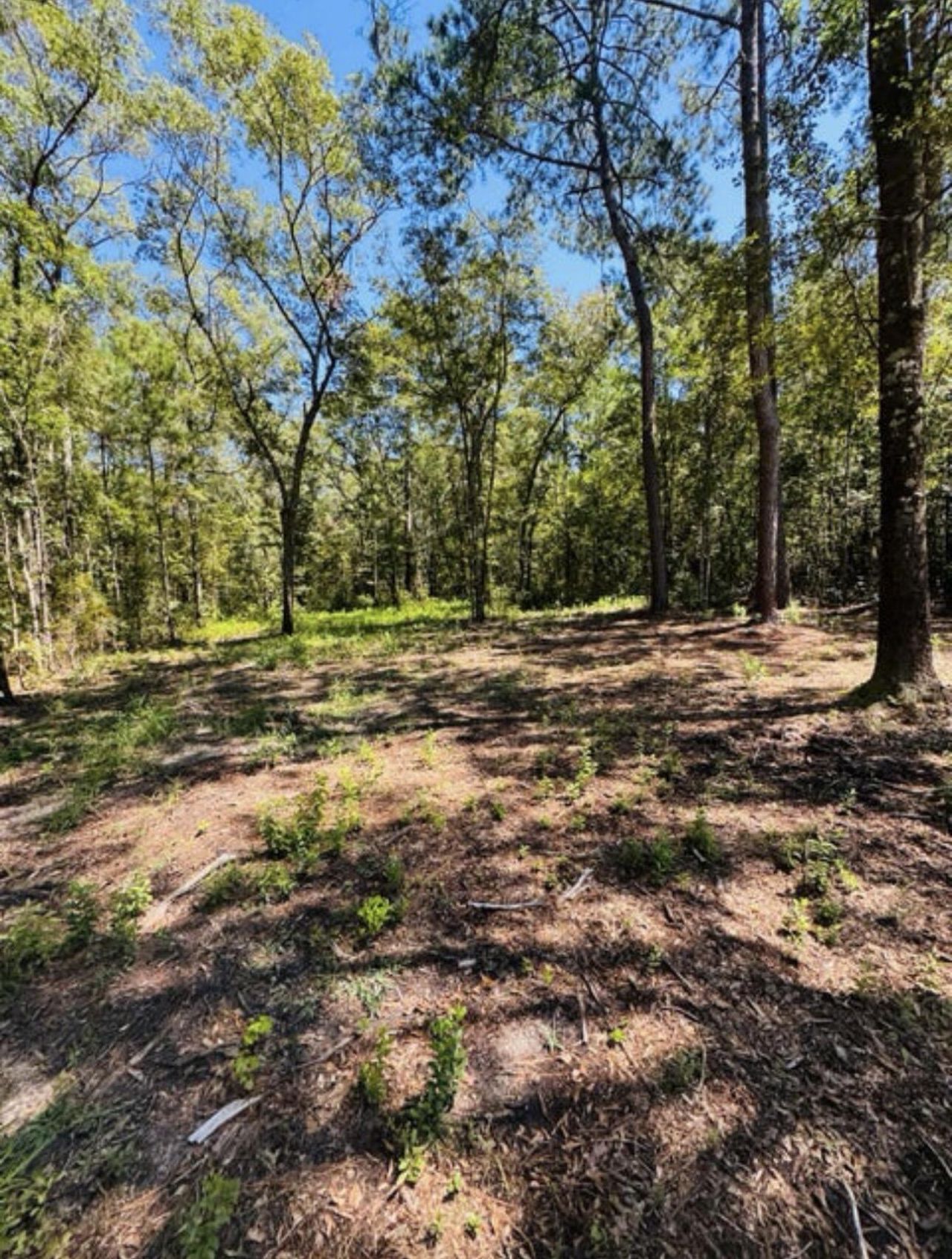 0 Mcdanieltown Road Photo 11