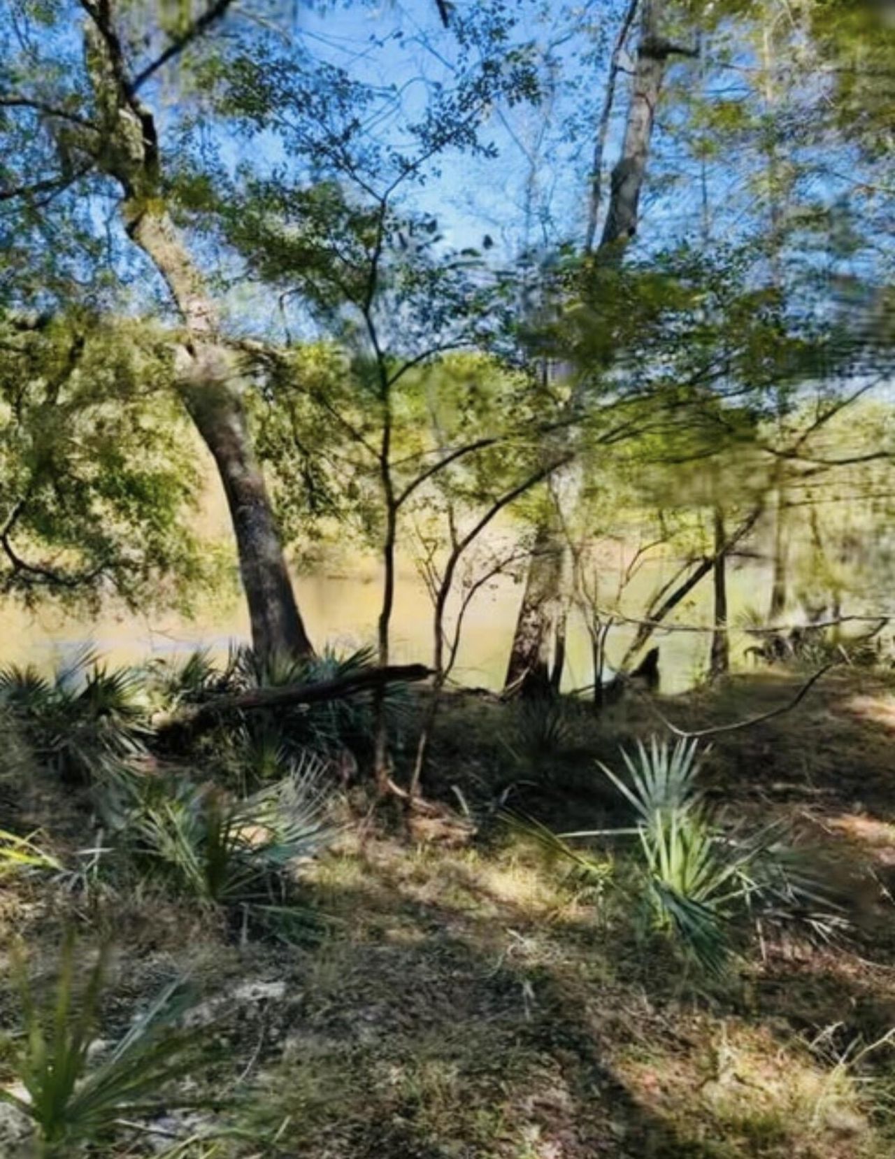 0 Mcdanieltown Road Photo 12