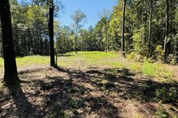 0 Mcdanieltown Road photo 4