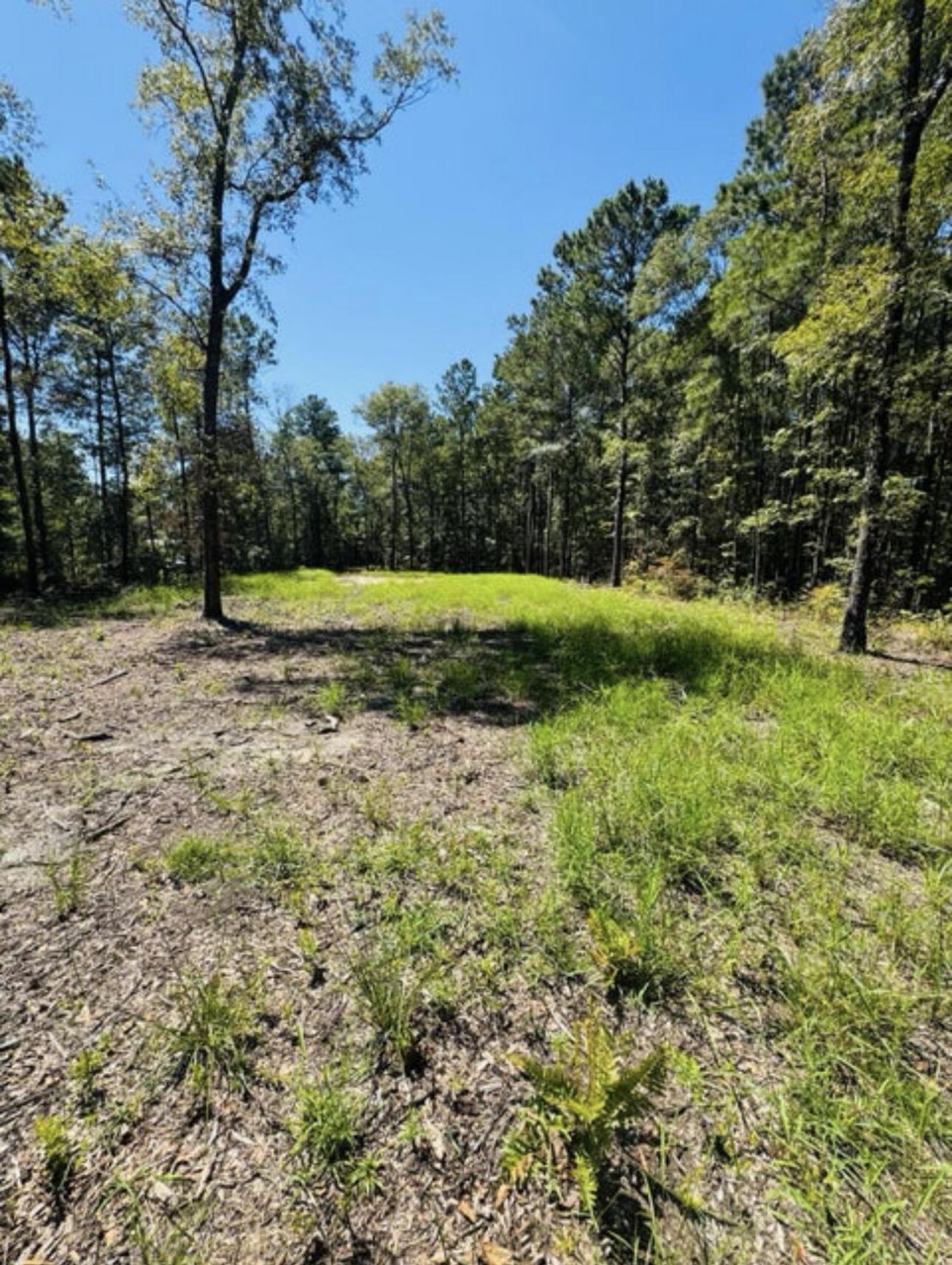 0 Mcdanieltown Road Photo 6