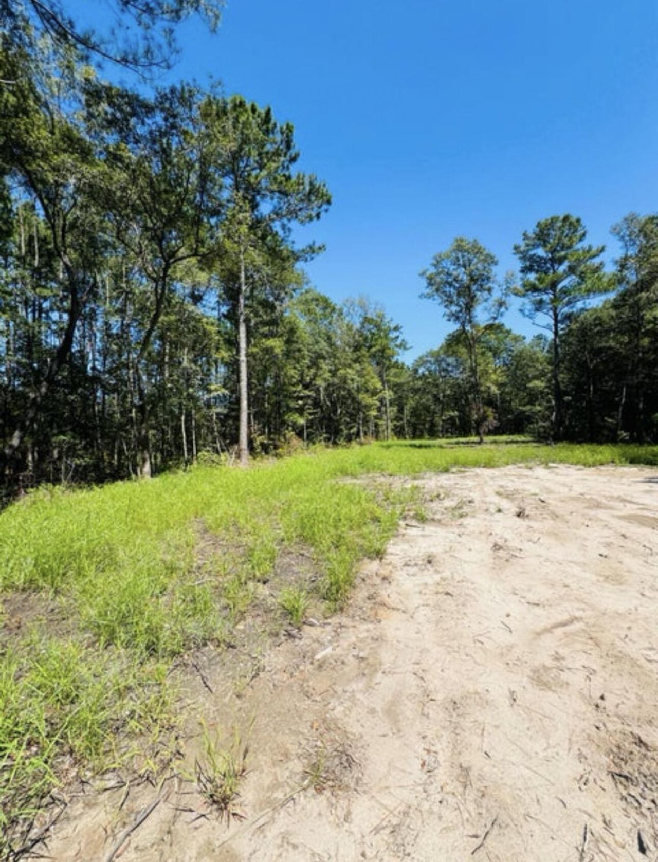 0 Mcdanieltown Road Photo 7