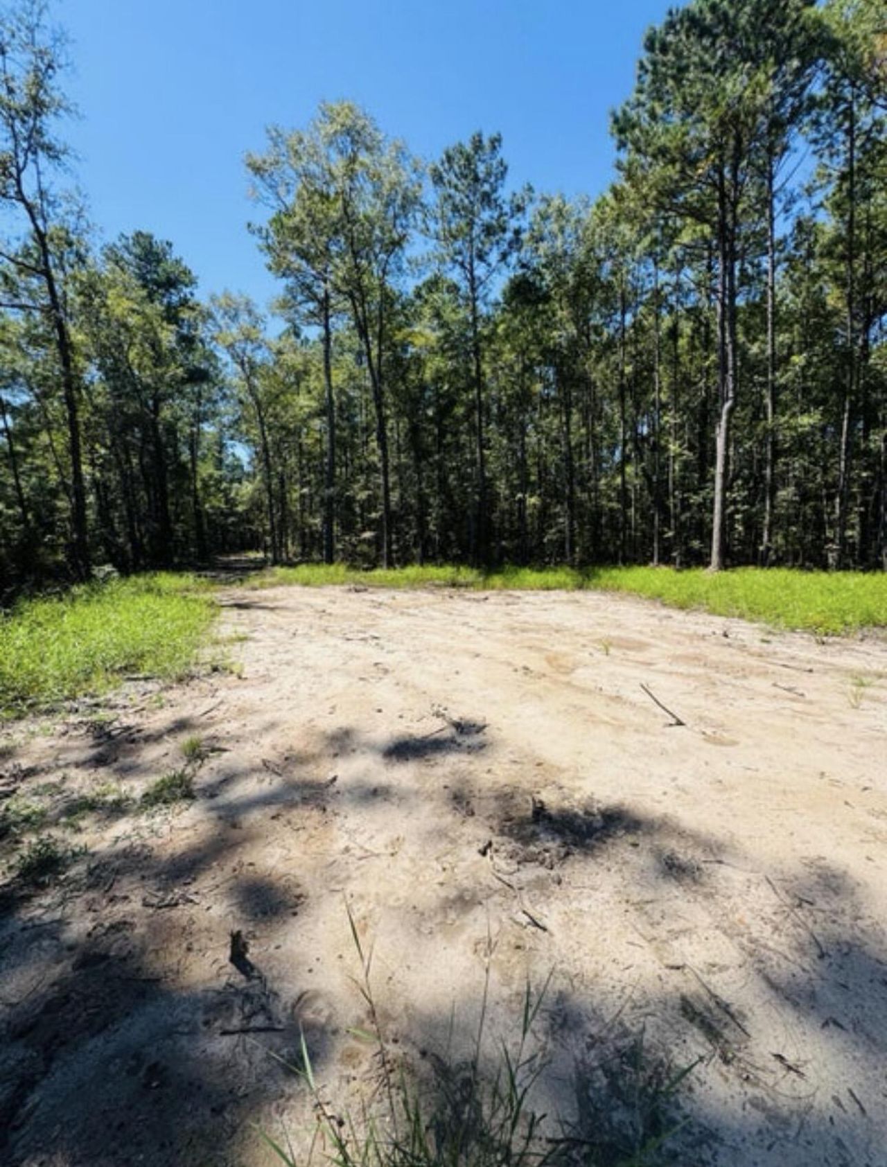 0 Mcdanieltown Road Photo 8