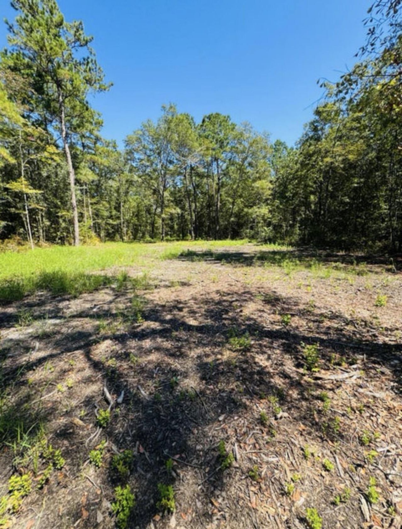 0 Mcdanieltown Road Photo 9