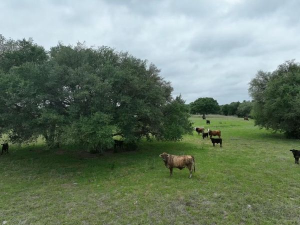 TBD Lot 2 County Road 127 RD, Ledbetter, TX 78946