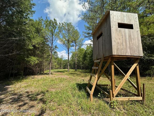 5 Forest Service Road 562 , Pulaski, MS 39152