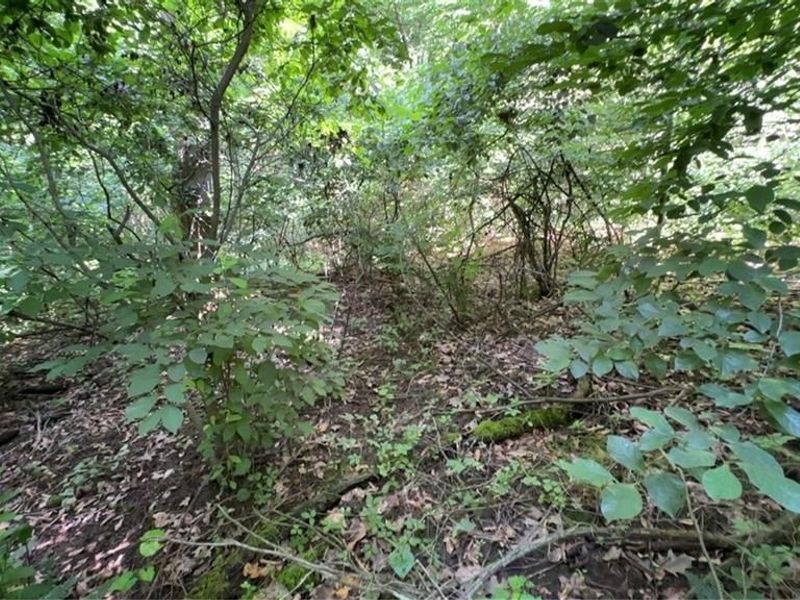 0 Point Lookout Road , Stockport, OH 43787 Photo 10