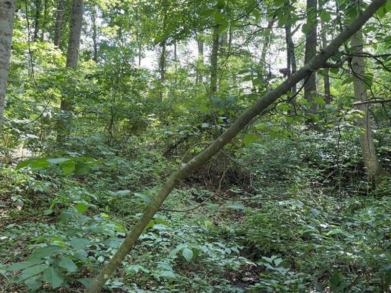 0 Point Lookout Road , Stockport, OH 43787 Photo 12