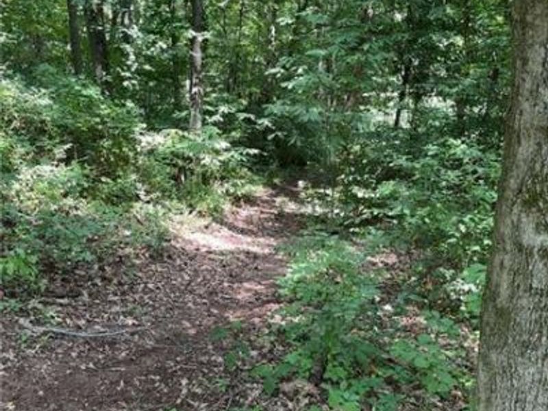 0 Point Lookout Road , Stockport, OH 43787 Photo 18