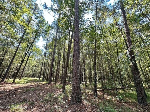 6 Forest Service Road 562 , Pulaski, MS 39152