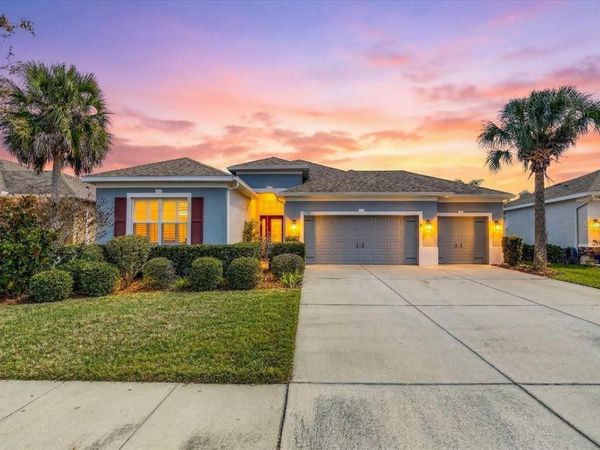 11118 FOSTER CARRIAGE ROAD, LITHIA, FL 33547