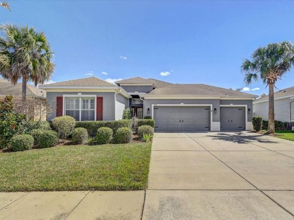 11118 FOSTER CARRIAGE ROAD, LITHIA, FL 33547