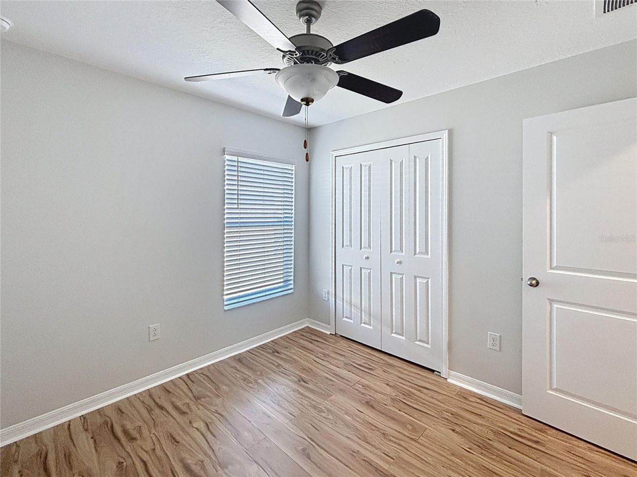 10241 Strawberry Tetra Drive, Riverview, FL 33578 Photo