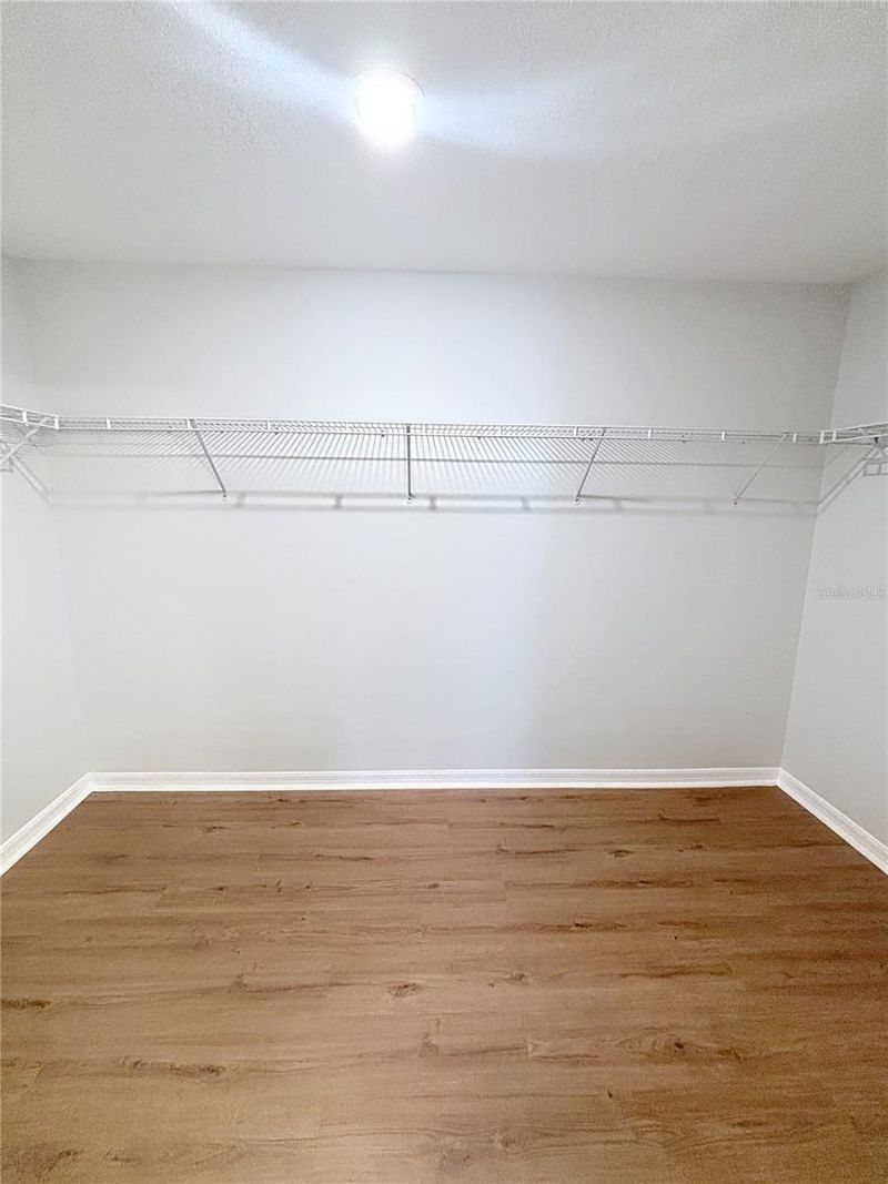 10241 Strawberry Tetra Drive, Riverview, FL 33578 Photo