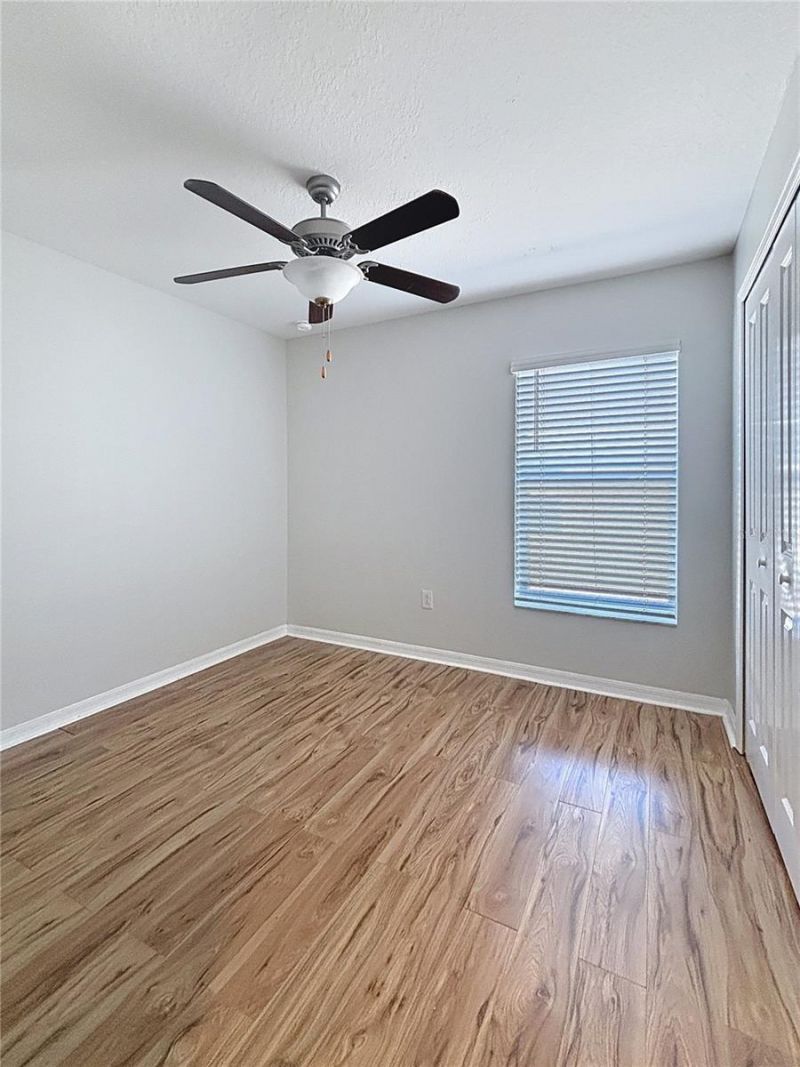 10241 Strawberry Tetra Drive, Riverview, FL 33578 Photo
