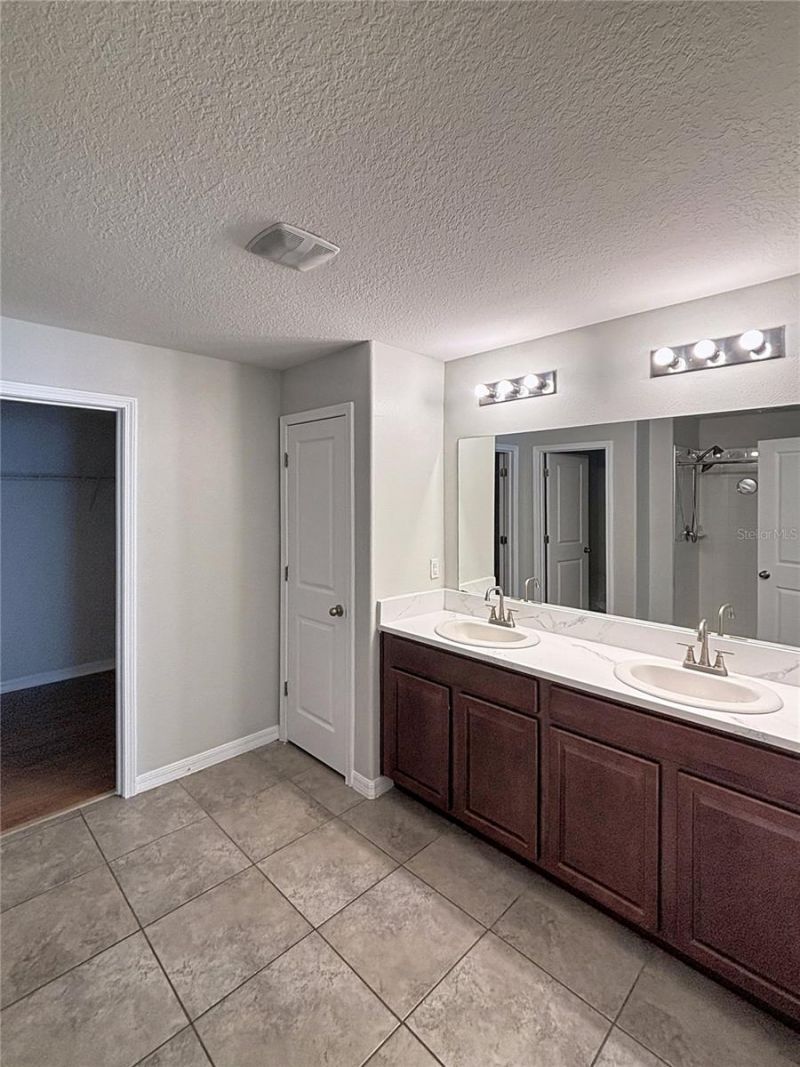 10241 Strawberry Tetra Drive, Riverview, FL 33578 Photo