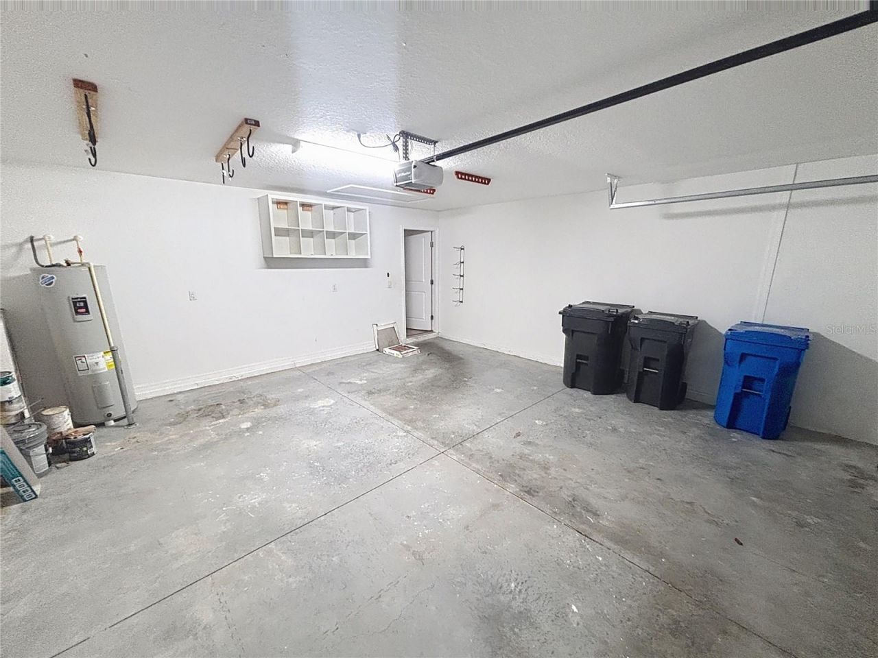 10241 Strawberry Tetra Drive, Riverview, FL 33578 Photo
