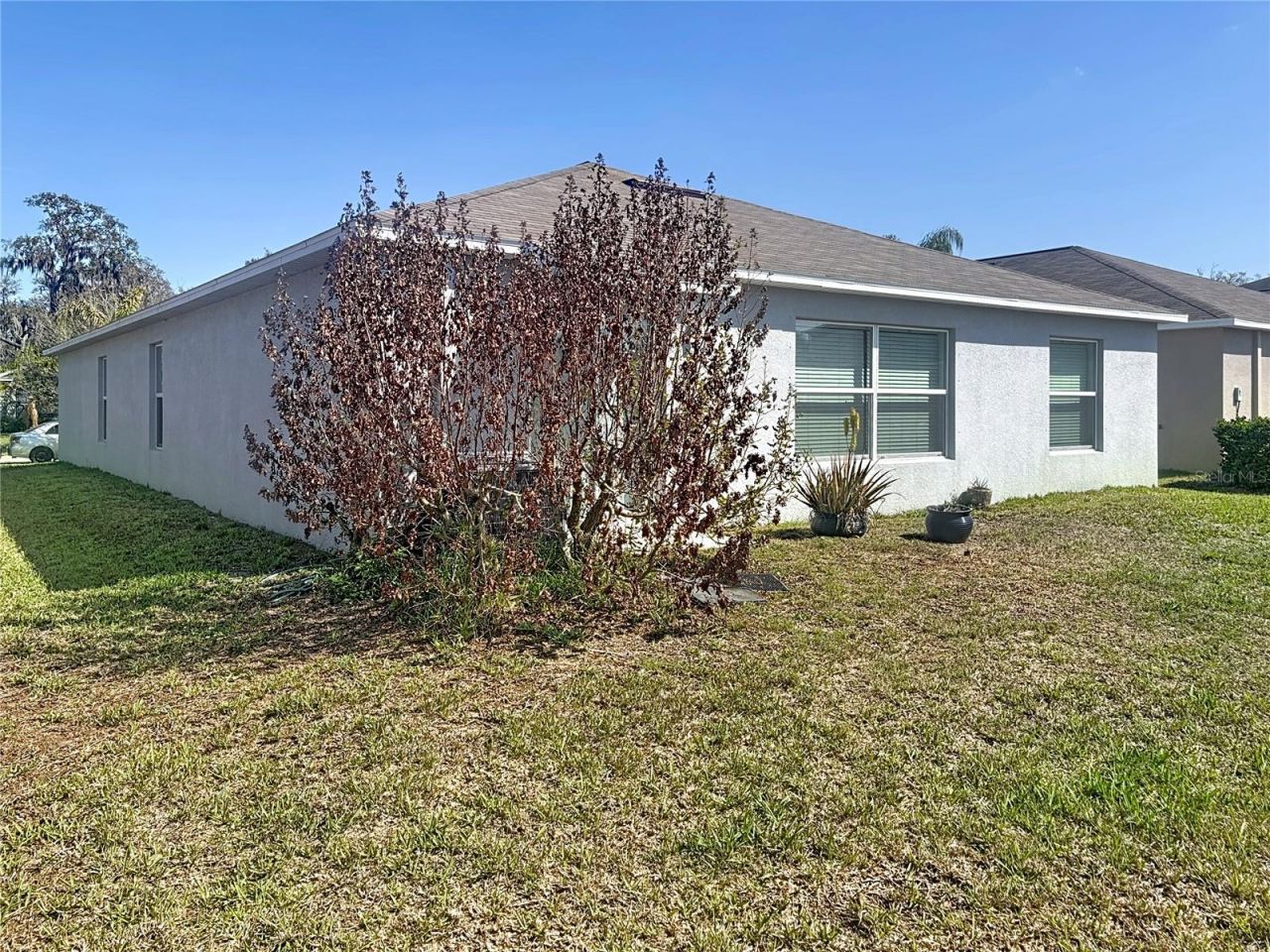10241 Strawberry Tetra Drive, Riverview, FL 33578 Photo
