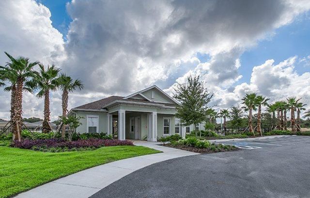 10241 Strawberry Tetra Drive, Riverview, FL 33578 Photo