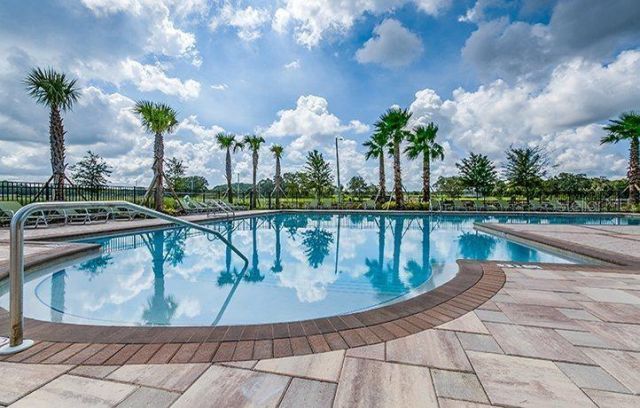 10241 Strawberry Tetra Drive, Riverview, FL 33578 Photo