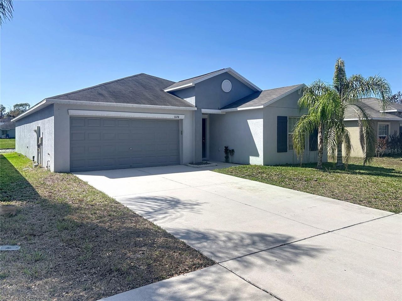 10241 Strawberry Tetra Drive, Riverview, FL 33578 Photo