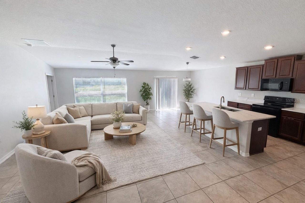 10241 Strawberry Tetra Drive, Riverview, FL 33578 Photo