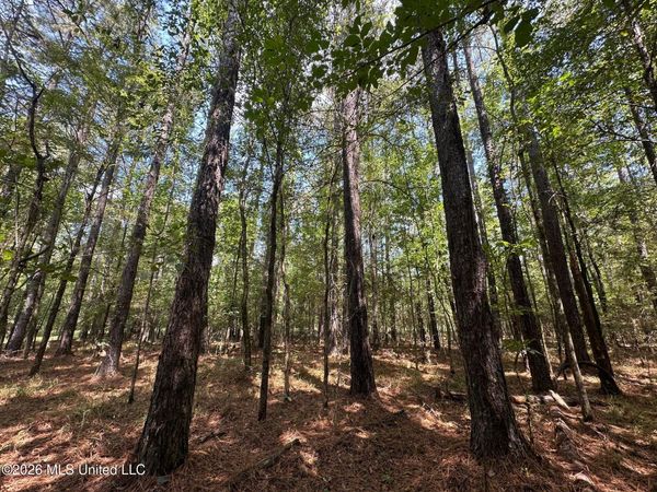 7 Forest Service Road 562 , Pulaski, MS 39152