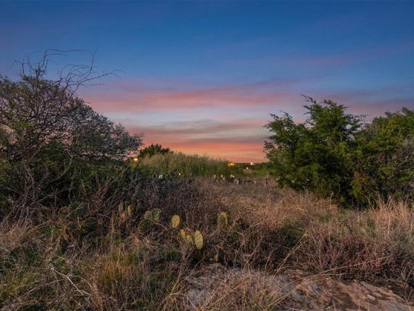 Lot 65 Three Creeks DR, Bertram, TX 78605