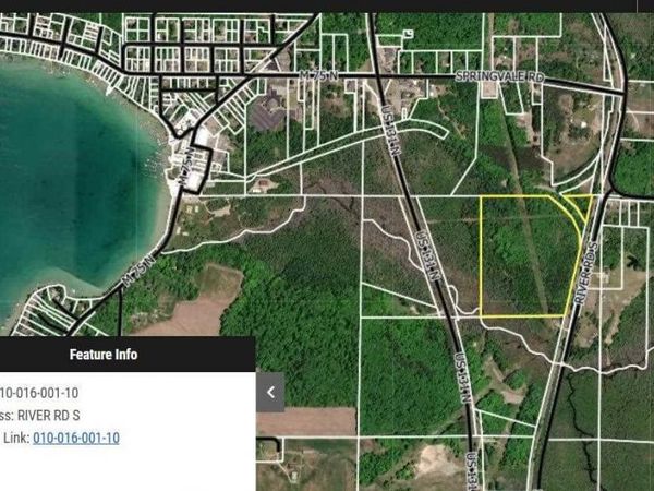 TBD S River Road, Boyne Falls, MI 49713