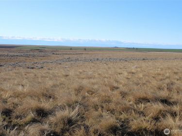 0 Schafer and Dewalt Road, Ritzville, WA 99169